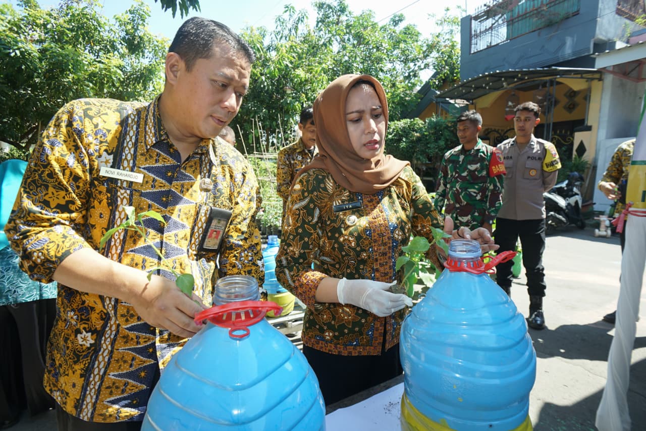 Dari Pekarangan untuk Ketahanan Pangan, Wali Kota Mojokerto Masifkan Gerakan Cabenisasi